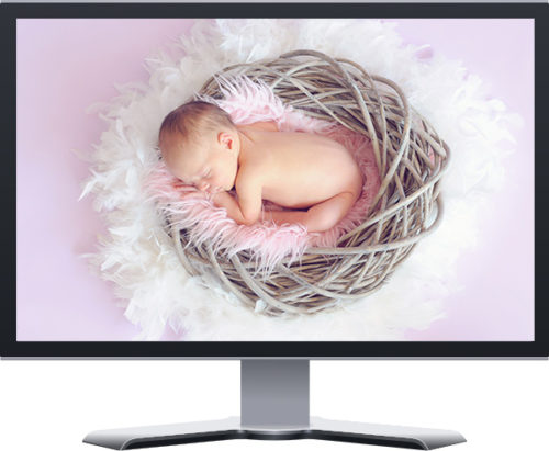 Baby Photography Photographer Expert SEO Social Media Marketing